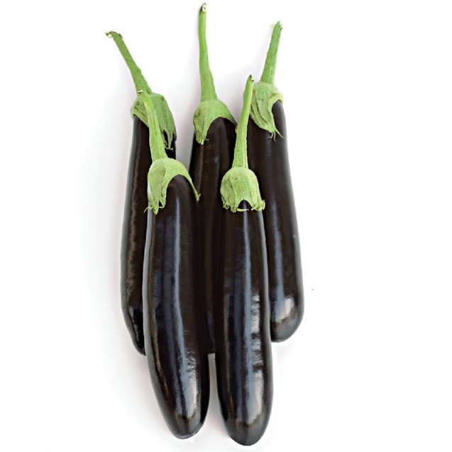 Μελιτζάνα Silia F1 1000σπόρων Fytro – Αναβαθμίζει άμεσα τον χώρο σου | iroots.gr