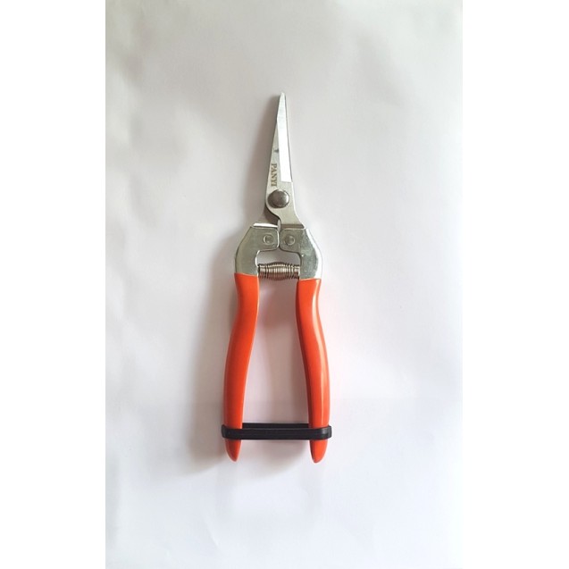 Μίνι ψαλίδι κήπου Agrokal – Προσφέρει μοναδική αισθητική | iroots.gr