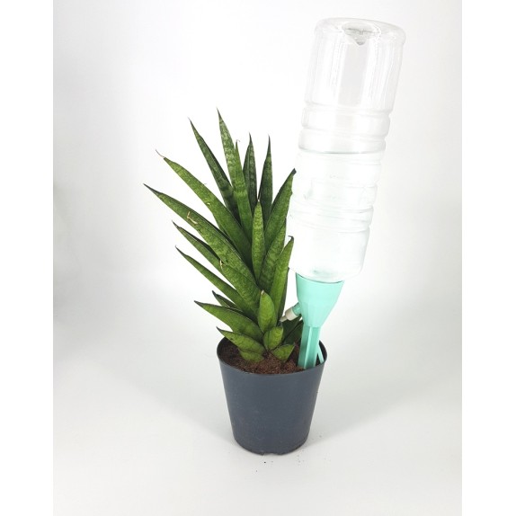 Σταλάκτης ρυθμιζόμενος κουμπωτός για μπουκάλι – Ταιριάζει σε κάθε μοντέρνο ή επαγγελματικό χώρο | iroots.gr