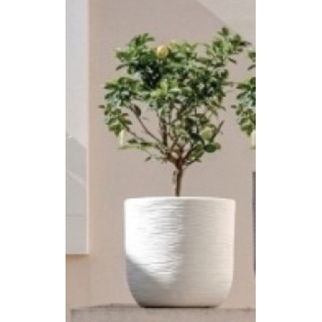 Γλάστρα πλαστική Shabby Cori45 rotational διαμέτρου 45cm, ύψος 44cm, χρώμα άσπρο