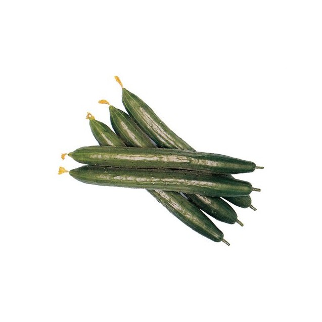 Σπόρος Αγγούρι μακρύ Green Baboo F1 2gr Aroseed
