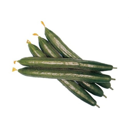 Σπόρος Αγγούρι μακρύ Green Baboo F1 2gr Aroseed