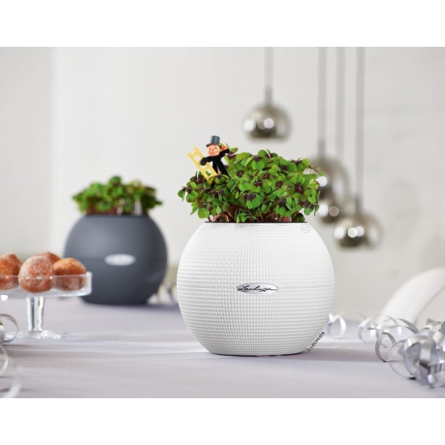 Γλάστρα πλαστική LECHUZA-PURO 20cm διάμετρος και 16cm ύψος χρώματος άσπρου – Προσφέρει μοναδική αισθητική | iroots.gr