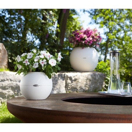 Γλάστρα πλαστική LECHUZA-PURO 20cm διάμετρος και 16cm ύψος χρώματος άσπρου – Προσφέρει μοναδική αισθητική | iroots.gr