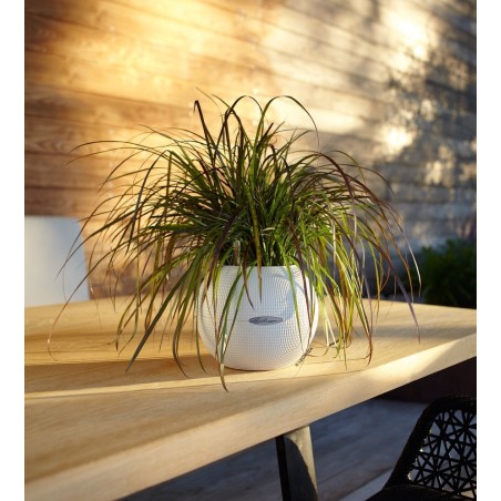 Γλάστρα πλαστική LECHUZA-PURO 20cm διάμετρος και 16cm ύψος χρώματος άσπρου – Προσφέρει μοναδική αισθητική | iroots.gr