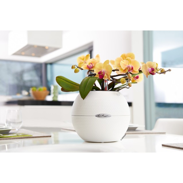 Γλάστρα πλαστική LECHUZA-PURO 20cm διάμετρος και 16cm ύψος χρώματος άσπρου – Προσφέρει μοναδική αισθητική | iroots.gr