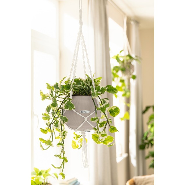 Γλάστρα πλαστική LECHUZA-PURO 20cm διάμετρος και 16cm ύψος χρώματος μπεζ