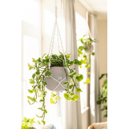 Γλάστρα πλαστική LECHUZA-PURO 20cm διάμετρος και 16cm ύψος χρώματος μπεζ