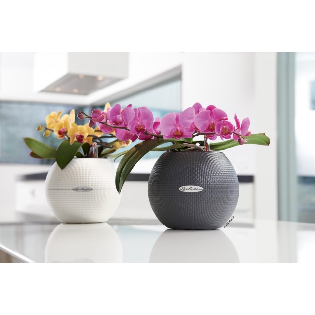 Γλάστρα πλαστική LECHUZA-PURO 20cm διάμετρος και 16cm ύψος χρώματος ανθρακί – Δίνει premium χαρακτήρα στο περιβάλλον | iroots.gr