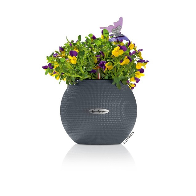 Γλάστρα πλαστική LECHUZA-PURO 20cm διάμετρος και 16cm ύψος χρώματος ανθρακί – Δίνει premium χαρακτήρα στο περιβάλλον | iroots.gr