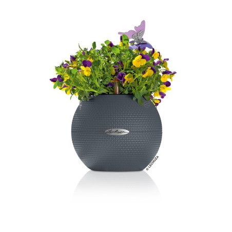 Γλάστρα πλαστική LECHUZA-PURO 20cm διάμετρος και 16cm ύψος χρώματος ανθρακί – Δίνει premium χαρακτήρα στο περιβάλλον | iroots.gr