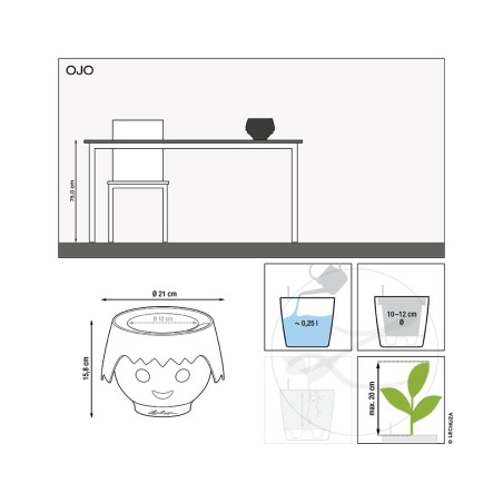 Γλάστρα πλαστική LECHUZA-OJO 21cm διάμετρος και 16cm ύψος ροζ φούξια – Προσφέρει μοναδική αισθητική | iroots.gr