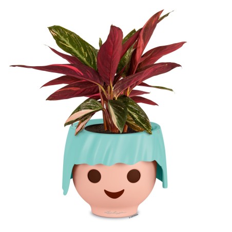 Γλάστρα πλαστική LECHUZA-OJO 21cm διάμετρος και 16cm ύψος, πετρόλ – Δημιουργεί αίσθηση πολυτέλειας χωρίς κόπο | iroots.gr