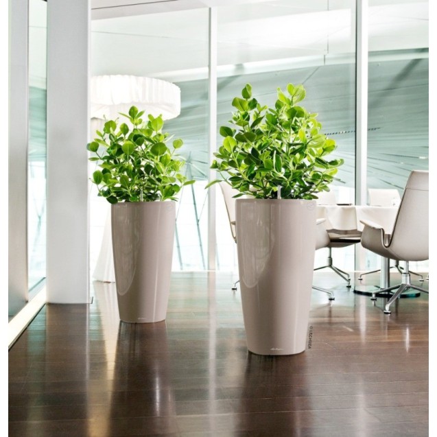 Γλάστρα LECHUZA RONDO 32 Premium Ø32.5x56.5cm ΑΥΤΟΠΟΤΙΖΟΜΕΝΗ με Δοχείο Φύτευσης Λευκή Γυαλιστερή – Αναβαθμίζει άμεσα τον χώρο σο