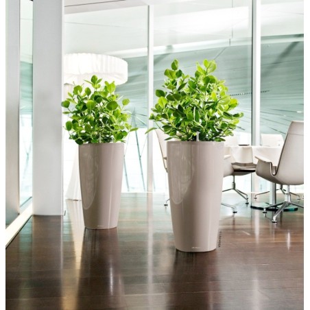 Γλάστρα LECHUZA RONDO 32 Premium Ø32.5x56.5cm ΑΥΤΟΠΟΤΙΖΟΜΕΝΗ με Δοχείο Φύτευσης Λευκή Γυαλιστερή – Αναβαθμίζει άμεσα τον χώρο σο