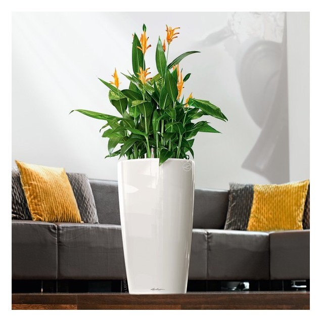 Γλάστρα LECHUZA RONDO 32 Premium Ø32.5x56.5cm ΑΥΤΟΠΟΤΙΖΟΜΕΝΗ με Δοχείο Φύτευσης Λευκή Γυαλιστερή – Αναβαθμίζει άμεσα τον χώρο σο