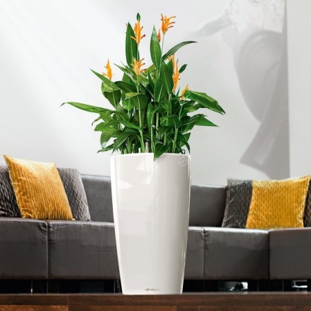 Γλάστρα LECHUZA RONDO 32 Premium Ø32.5x56.5cm ΑΥΤΟΠΟΤΙΖΟΜΕΝΗ με Δοχείο Φύτευσης Λευκή Γυαλιστερή – Αναβαθμίζει άμεσα τον χώρο σο