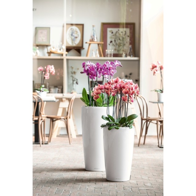 Γλάστρα LECHUZA RONDO 32 Premium Ø32.5x56.5cm ΑΥΤΟΠΟΤΙΖΟΜΕΝΗ με Δοχείο Φύτευσης Λευκή Γυαλιστερή – Αναβαθμίζει άμεσα τον χώρο σο