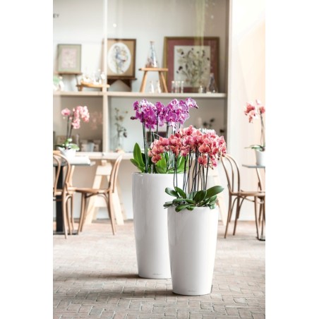 Γλάστρα LECHUZA RONDO 32 Premium Ø32.5x56.5cm ΑΥΤΟΠΟΤΙΖΟΜΕΝΗ με Δοχείο Φύτευσης Λευκή Γυαλιστερή – Αναβαθμίζει άμεσα τον χώρο σο