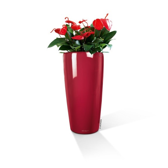 Γλάστρα LECHUZA RONDO 32 Premium Ø32.5x56.5cm ΑΥΤΟΠΟΤΙΖΟΜΕΝΗ με Δοχείο Φύτευσης Κόκκινη Γυαλιστερή – Δημιουργεί αίσθηση πολυτέλε