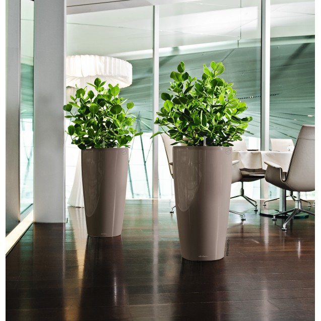 Γλάστρα LECHUZA RONDO 32 Premium Ø32.5x56.5cm ΑΥΤΟΠΟΤΙΖΟΜΕΝΗ με Δοχείο Φύτευσης Μπεζ Γυαλιστερή