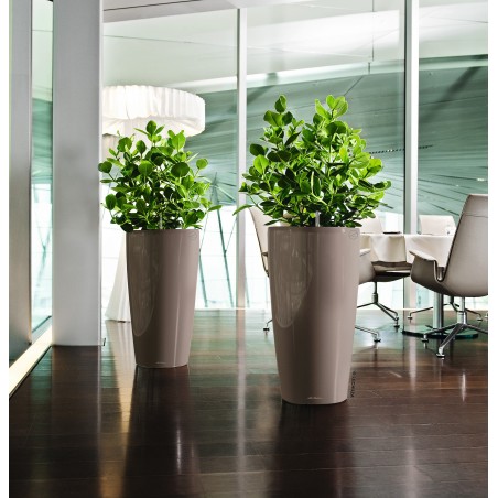 Γλάστρα LECHUZA RONDO 32 Premium Ø32.5x56.5cm ΑΥΤΟΠΟΤΙΖΟΜΕΝΗ με Δοχείο Φύτευσης Μπεζ Γυαλιστερή