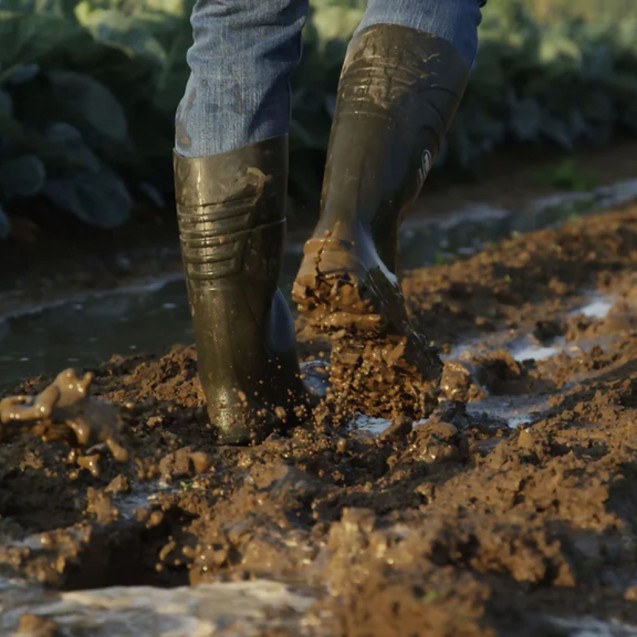 Μπότες γονάτου A-EXCELLIUM S5 πράσινες No41