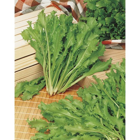 ΑΝΤΙΔΙ ROMANESCA DA TAGLIO MARALDI Φάκελος 25 γραμ. – Προσφέρει μοναδική αισθητική | iroots.gr