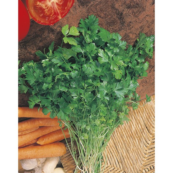 ΜΑΪΝΤΑΝΟΣ PLAIN COMMUN 2 (AROMIX) Φάκελος 50 γραμ. – Αναβαθμίζει άμεσα τον χώρο σου | iroots.gr