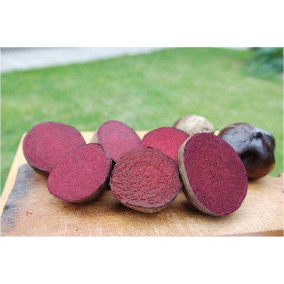 ΠΑΤΖΑΡΙ EGYPTIAN FLAT EURO Φάκελος 25 γραμ. – Δίνει premium χαρακτήρα στο περιβάλλον | iroots.gr