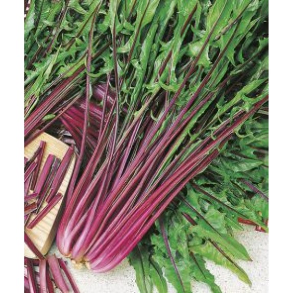 ΡΑΔΙΚΙ SPADONA (ΙΤΑΛΙΚΟ) MARALDI Φάκελος 50 γραμ. – Αναβαθμίζει άμεσα τον χώρο σου | iroots.gr