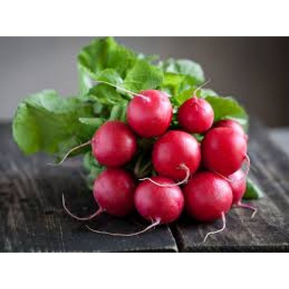 ΡΑΠΑΝΑΚΙ ΜΙΚΡΟ SAXA 2 VIKIMA Φάκελος 50 γραμ. – Ταιριάζει σε κάθε μοντέρνο ή επαγγελματικό χώρο | iroots.gr