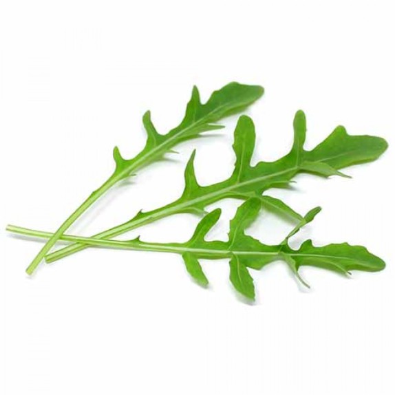 ΡΟΚΑ ΑΓΡΙΑ EXTREMA MARALDI Φάκελος 25 γραμ. – Αναβαθμίζει άμεσα τον χώρο σου | iroots.gr