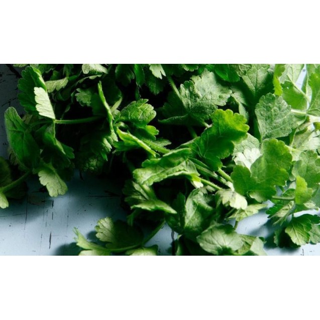 ΚΑΥΚΑΛΙΘΡΑ ΕΓΧΩΡΙΑ Φάκελος 25 γραμ. – Δίνει premium χαρακτήρα στο περιβάλλον | iroots.gr