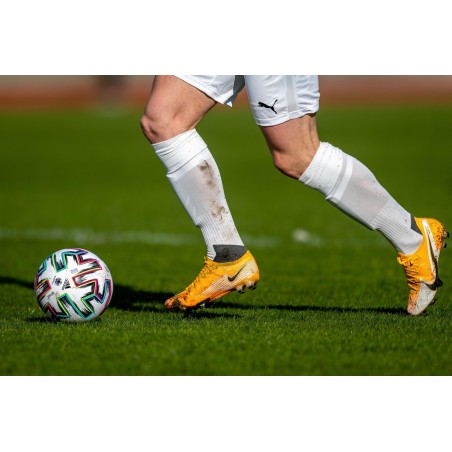 Μίγμα Γκαζόν WEMBLEY 1kg | Σπόροι Χλοοτάπητα
