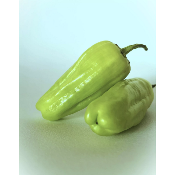 ΠΙΠΕΡΙΑ STAVROS ΤΟΥΡΣΙ ΚΟΝΤΗ ΣΤΑΥΡΟΣ (εγχώρια) Φάκελος 25 γραμ. – Δίνει premium χαρακτήρα στο περιβάλλον | iroots.gr