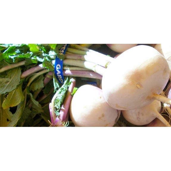 ΡΕΒΑ WHITE STAR ΑΣΠΡΗ SNOWBALL VIKIMA Φάκελος 25 γραμ. – Προσφέρει μοναδική αισθητική | iroots.gr