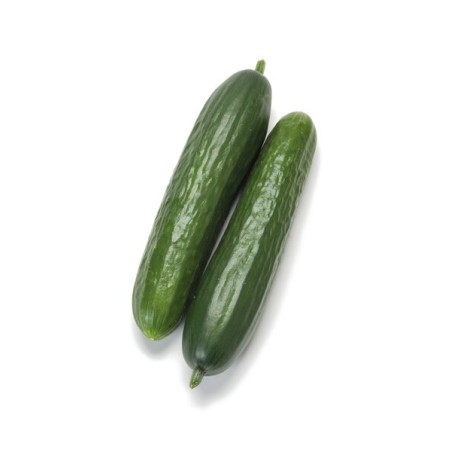 ΑΓΓΟΥΡΙ Mini HALLEY F1 Φάκελος 100 σπόρων – Προσφέρει μοναδική αισθητική | iroots.gr