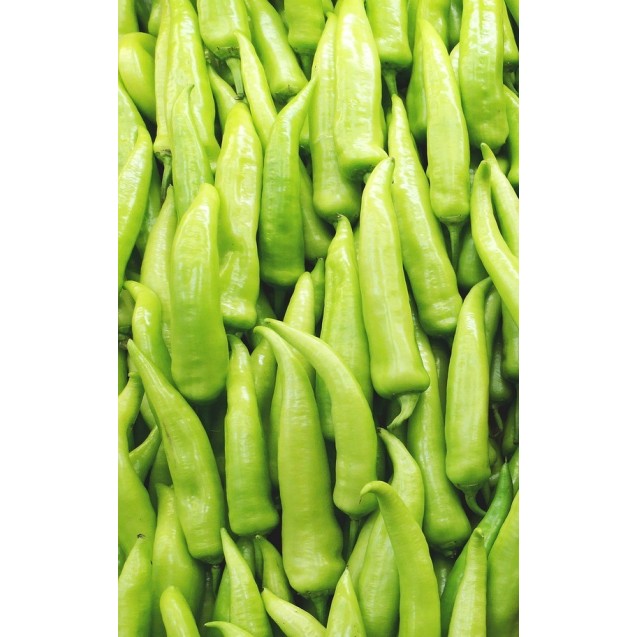 nan – Προσφέρει μοναδική αισθητική | iroots.gr