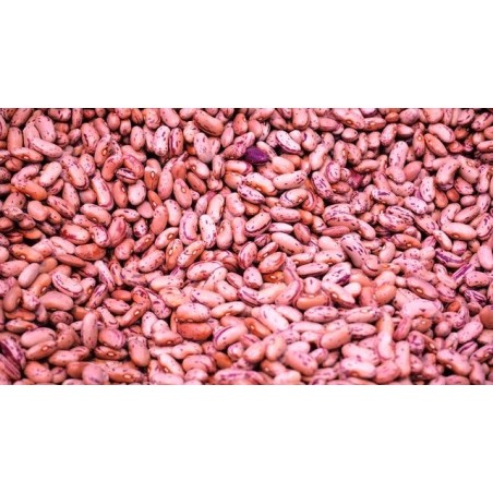 Φασόλι Borlotto καθιστό 1kg – Αναβαθμίζει άμεσα τον χώρο σου | iroots.gr