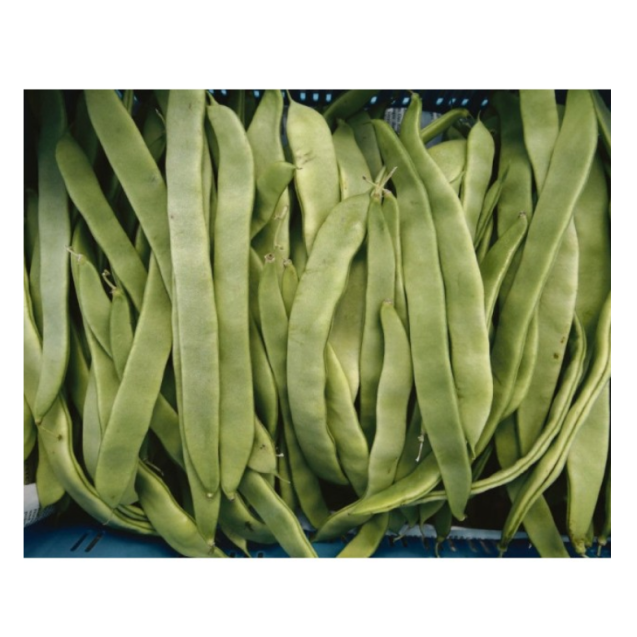ΦΑΣΟΛΙ ΑΝΑΡ. HELDA EUROSEED Φάκελος 100 γραμ.