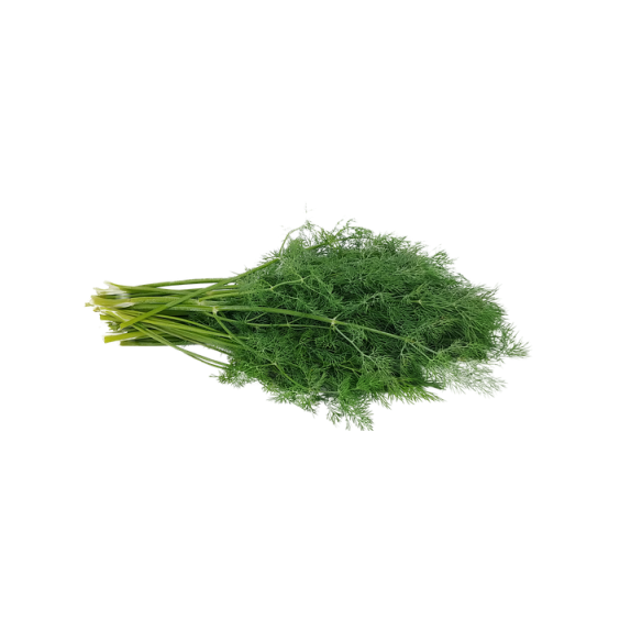 ΑΝΗΘΟΣ ΑΡΩΜΑΤΙΚΟΣ PLAIN DUKAT MARALDI Φάκελος 50 γραμ. – Δημιουργεί αίσθηση πολυτέλειας χωρίς κόπο | iroots.gr