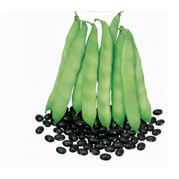 ΦΑΣΟΛΙ ΝΑΝΟ COCO NOIR (STARAZAGORSKI) Φάκελος 100 γραμ. – Ταιριάζει σε κάθε μοντέρνο ή επαγγελματικό χώρο | iroots.gr