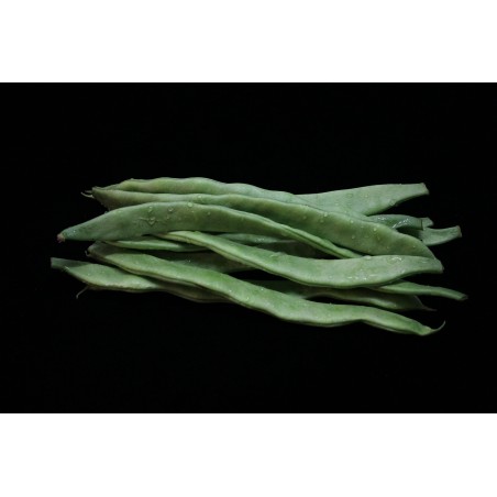 ΦΑΣΟΛΙ ΝΑΝΟ BANGA (BALLET) ΕΙΣΑΓΩΓΗΣ Φάκελος 100 γραμ. – Αναβαθμίζει άμεσα τον χώρο σου | iroots.gr