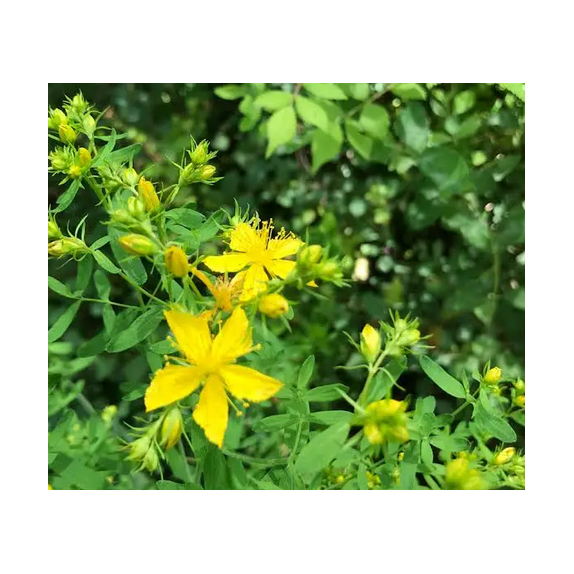 nan – Αναβαθμίζει άμεσα τον χώρο σου | iroots.gr