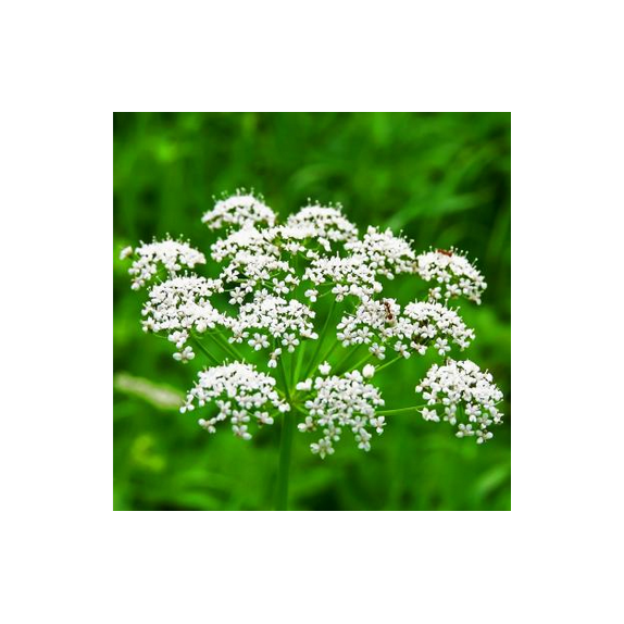 nan – Αναβαθμίζει άμεσα τον χώρο σου | iroots.gr