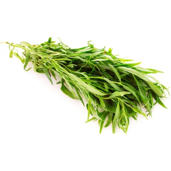 nan – Προσφέρει μοναδική αισθητική | iroots.gr