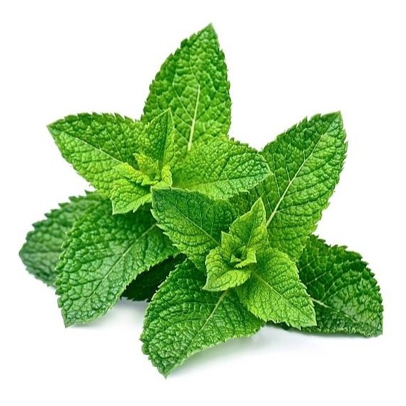 nan – Δίνει premium χαρακτήρα στο περιβάλλον | iroots.gr