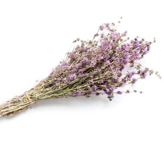 nan – Δίνει premium χαρακτήρα στο περιβάλλον | iroots.gr