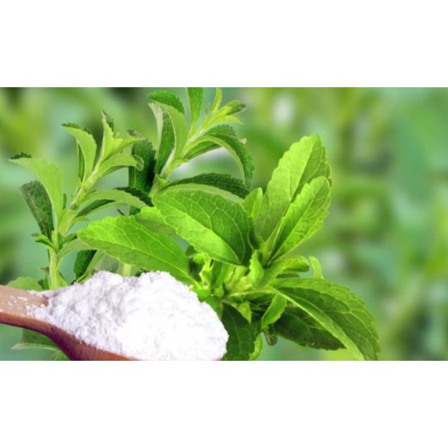 nan – Δίνει premium χαρακτήρα στο περιβάλλον | iroots.gr